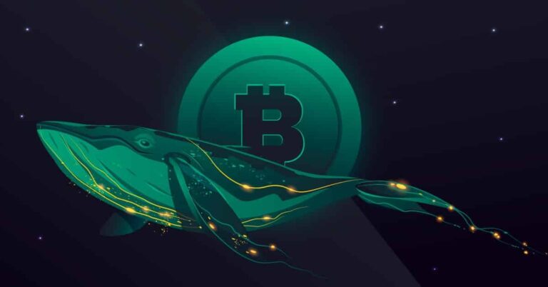 Bitcoin Whale Shifts 31,000 BTC; Is A BTC Dump Ahead?