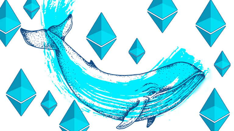 Whale Watching: A Deep Dive Into the Portfolios of the World’s Largest Ethereum Whales – Bitcoin News