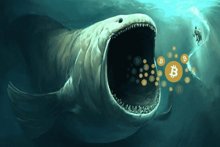 Is BTC Whales Accumulation Leading Bitcoin Price Surge?