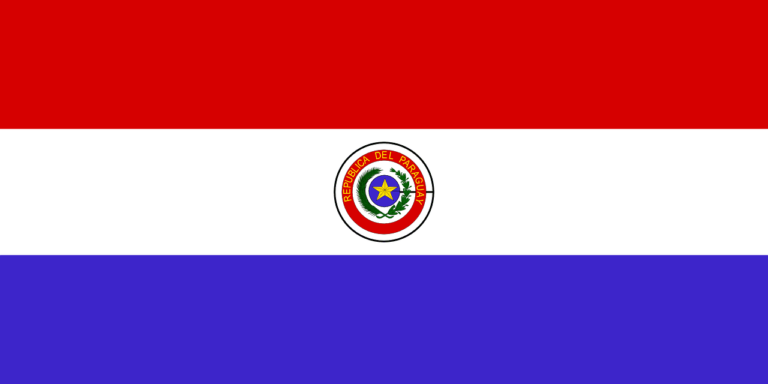 The President Of Paraguay Vetoes The Crypto Regulation Law