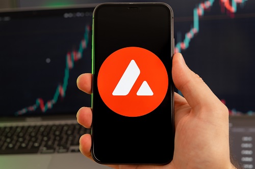 Bitbot picks momentum as Avalanche leads altcoin recovery