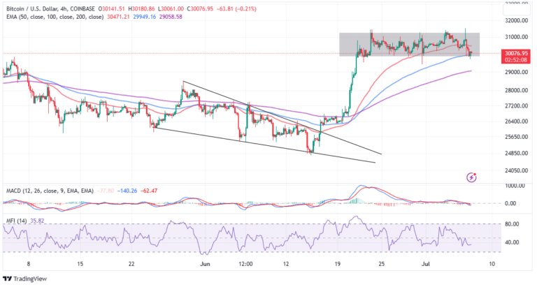 Bitcoin Price Is Falling While Whales Grow – What Does It Mean for BTC at $30k?