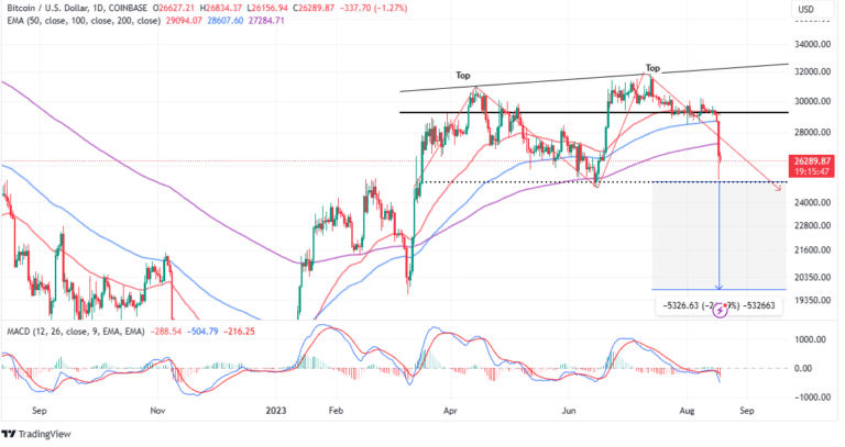 BTC Price Dump Far From Over, Sub $20k Crash Incoming?