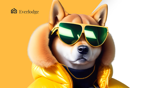 The next crypto bull run is here: Time to bet on Shiba Memu?