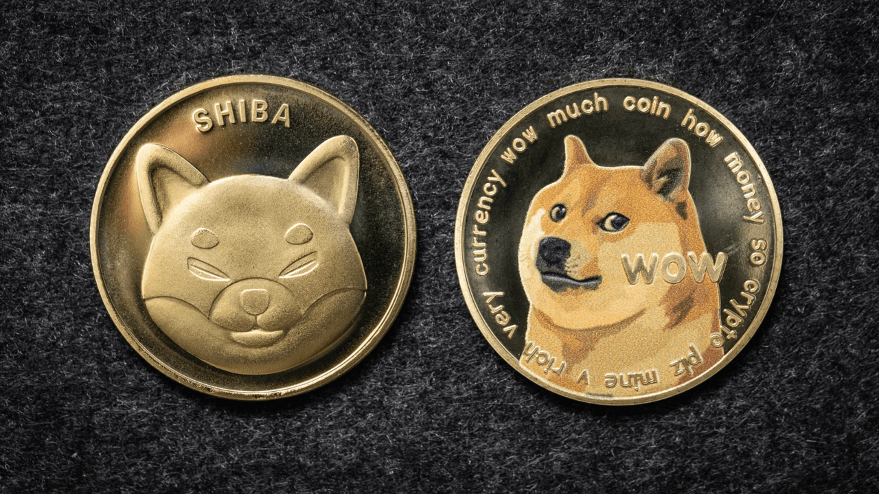 Dogecoin and Shiba Inu Pumping Again as Dogecoin20 ICO Nears 2M – Sponsored Bitcoin News