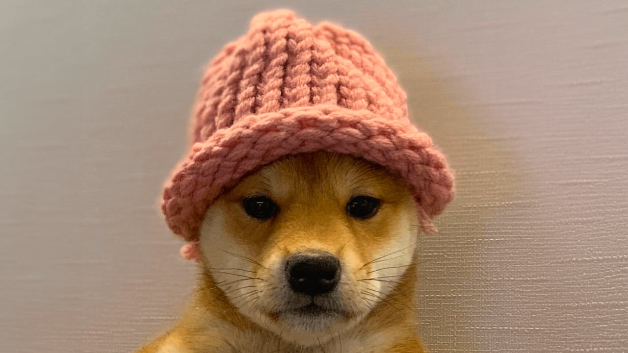 Dogwifhat Rises to Become the Third-Largest Meme Coin by Market Valuation – Markets and Prices Bitcoin News