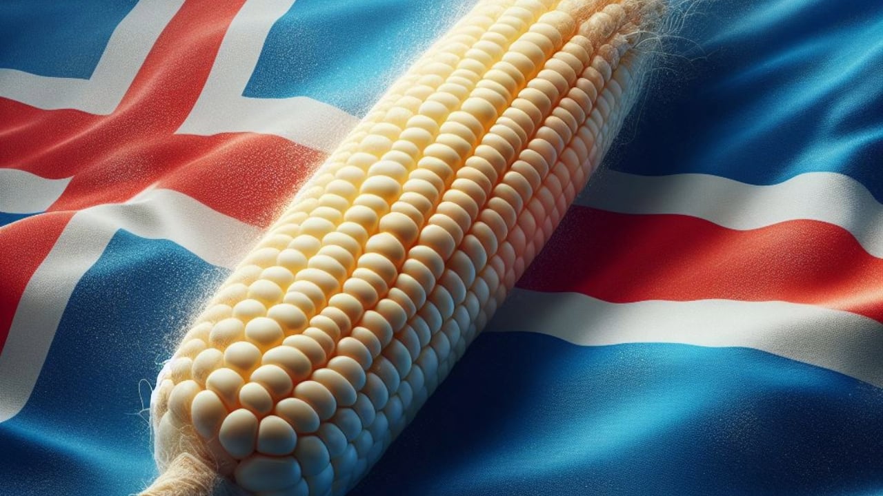 Iceland’s Prime Minister Vows to Prioritize Food Security Over Bitcoin – Mining Bitcoin News