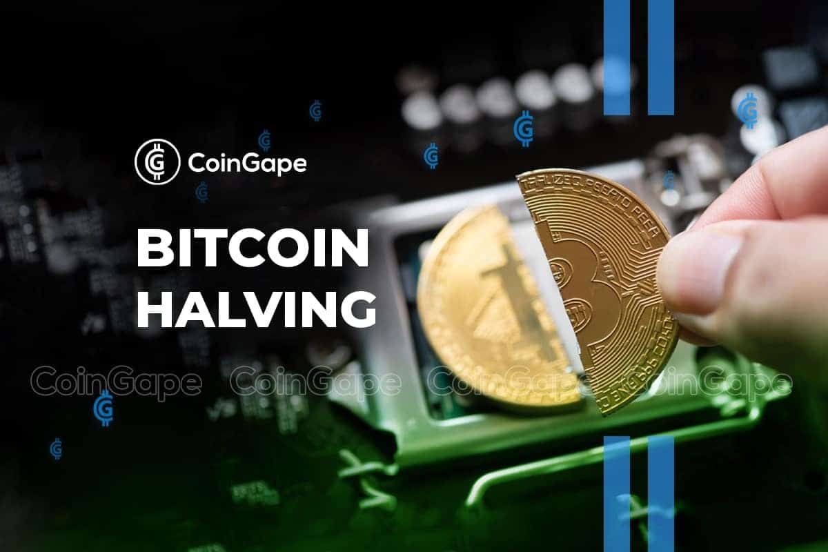 Bitcoin Cash Price Up 10% After Halving, Bitcoin Halving Hype Grows